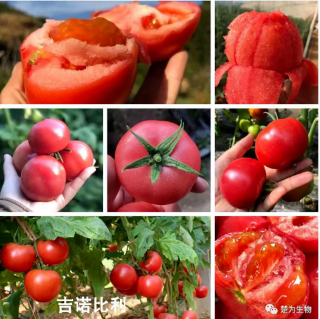 圖片.png